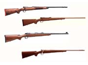 Rifles32