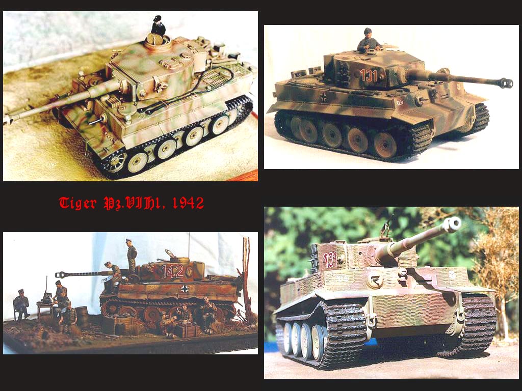 TIGER-2