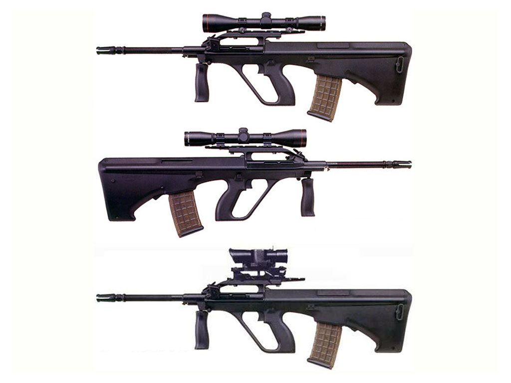 Rifles2