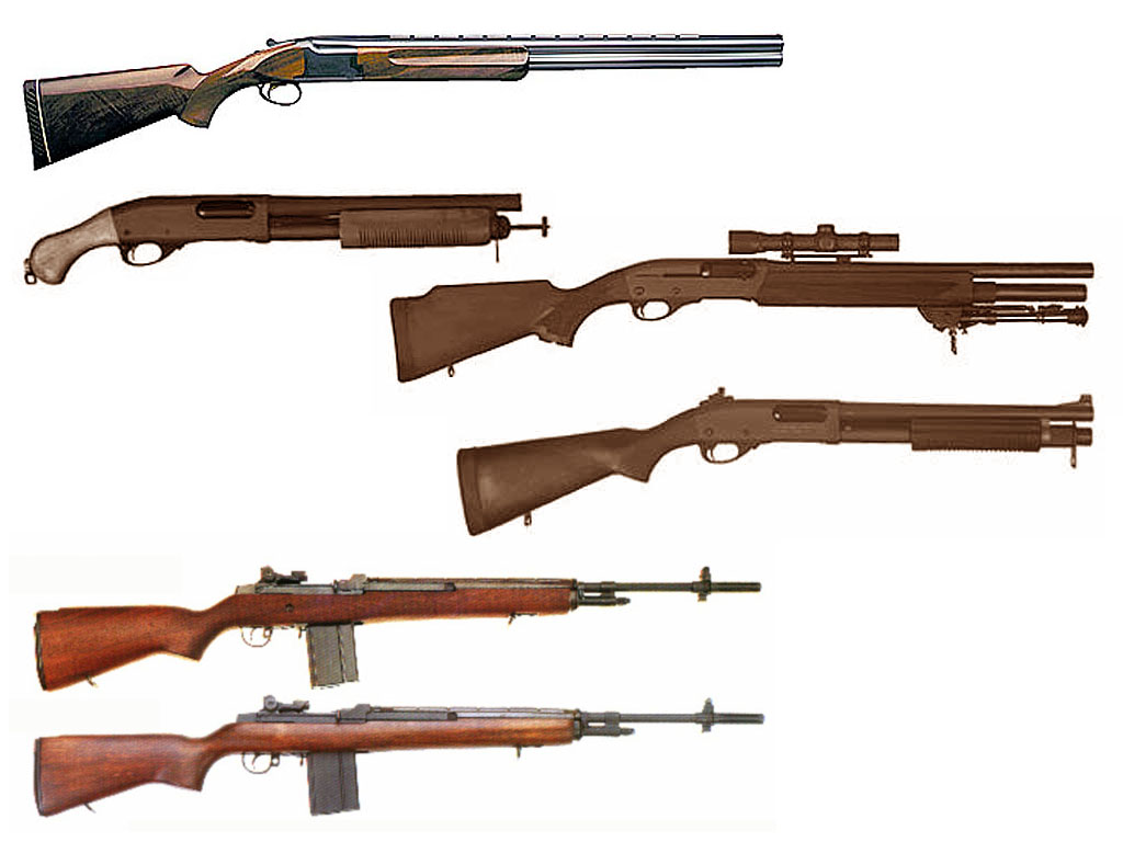 RIFLES15